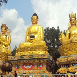 buddhist-sector-tour